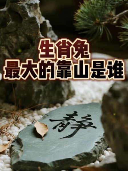 生肖属相靠山视频(生肖属相靠山视频怎么拍)