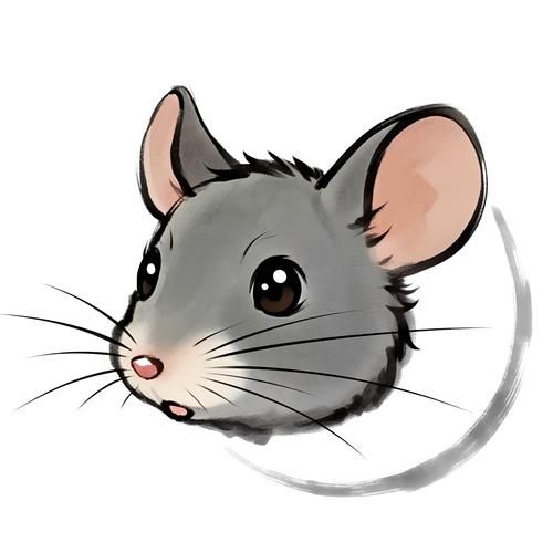 生肖属相头像制作（生肖属相头像怎么自己制作）