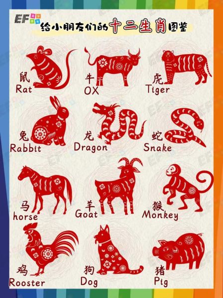 生肖又称属相英语翻译（生肖属相英文怎么写 zodiac animals）