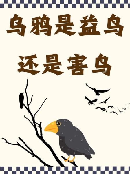 乌鸦生肖属相（乌鸦在中国是生肖吗？真相大揭秘）