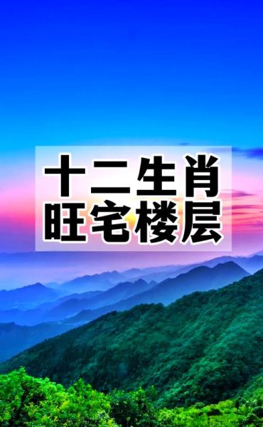 属相生肖于楼层选择(属鼠住几楼最吉利?选房风水必看)