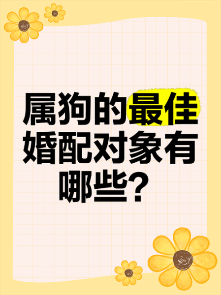 46年什么生肖属相婚配（1946年属狗最佳婚配全攻略）