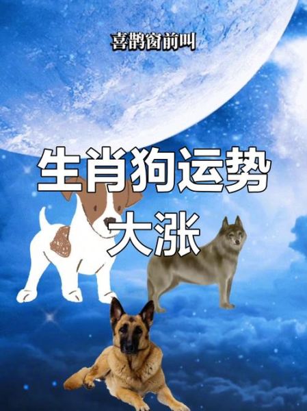 蓝色生肖属相（蓝色生肖属相是什么动物）