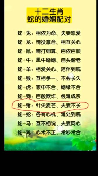 生肖属相情感(生肖属相情感运势准不准)