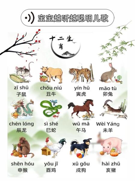 生肖里都有什么属相(生肖里都有什么属相?新手快速掌握12生肖顺序)