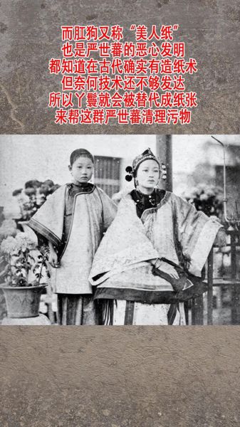 古代丫鬟生肖有哪些属相（古代丫鬟的生肖有哪些生肖）