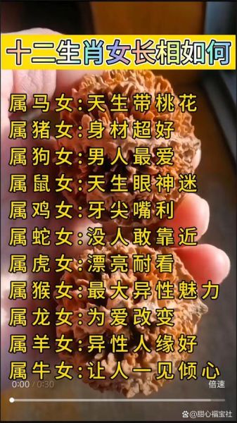 女人最好的生肖属相（女人最好的生肖属相是什么？）