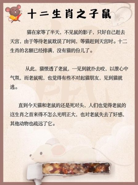 带子字的生肖属相（带子字的生肖是鼠吗）