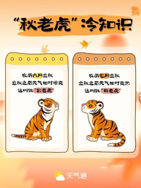 立秋属相忌讳什么生肖（立秋属相禁忌：属虎的人要小心什么？）