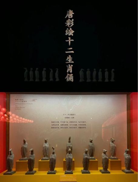 唐白属什么生肖属相