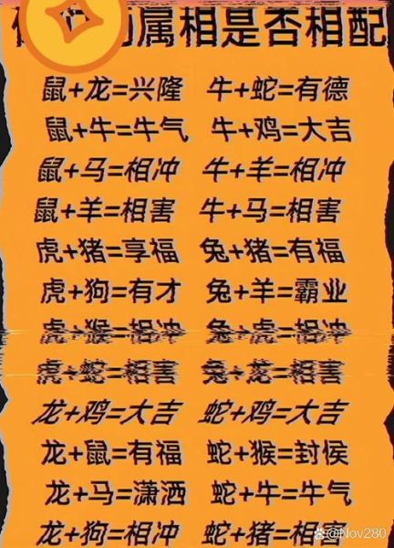 查询生肖属相婚姻(鼠和龙配婚姻好不好)