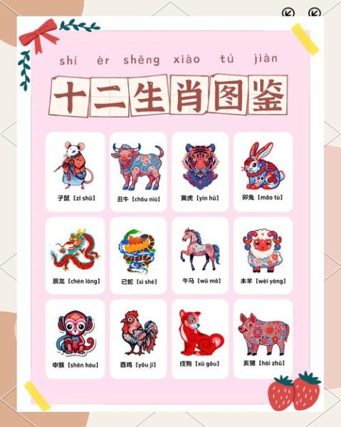 生肖属相文化传承（生肖属相文化传承怎么入门）