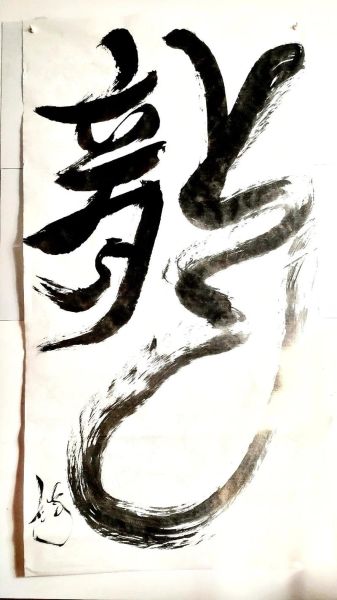 紫微星生肖属相（紫微星生肖属相：蛇虎龙三大主角揭秘）