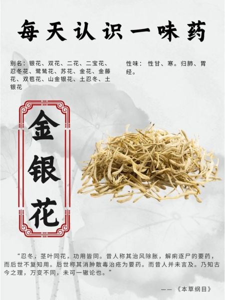 银花属相是什么生肖(银花属相是什么生肖?一篇看懂)