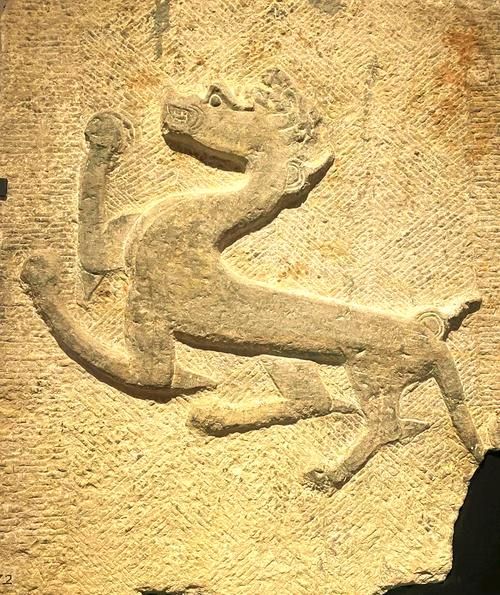 白虎座什么生肖属相呢（白虎是属什么生肖？新手最全指南）