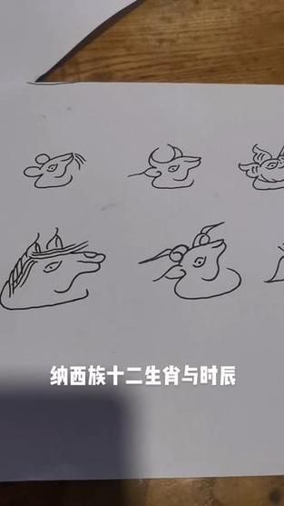 纳西 生肖属相(纳西族属什么生肖?小白一看就懂)