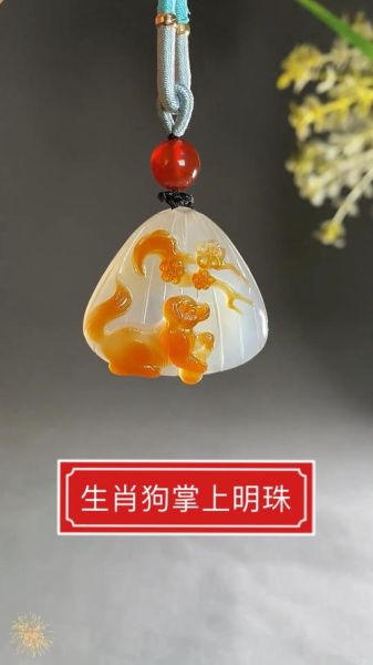 生肖狗带什么属相（生肖狗戴什么属相旺财旺运）