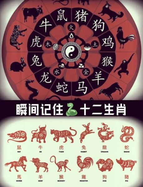 2007生肖属相图（2007年出生属什么生肖？高清对照图分享）