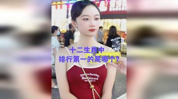 生肖属相街头采访（街头采访十二生肖怎么看懂年龄规律）