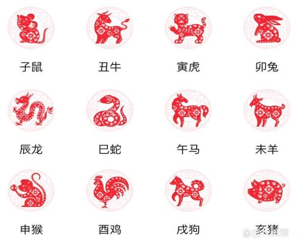 孙敬属相是什么生肖（孙敬属什么生肖？小白一看就懂）