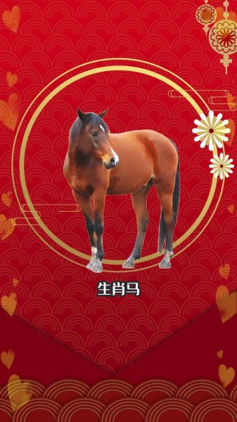 生肖马属相名人（生肖马属相名人都有谁？小白也能秒懂）