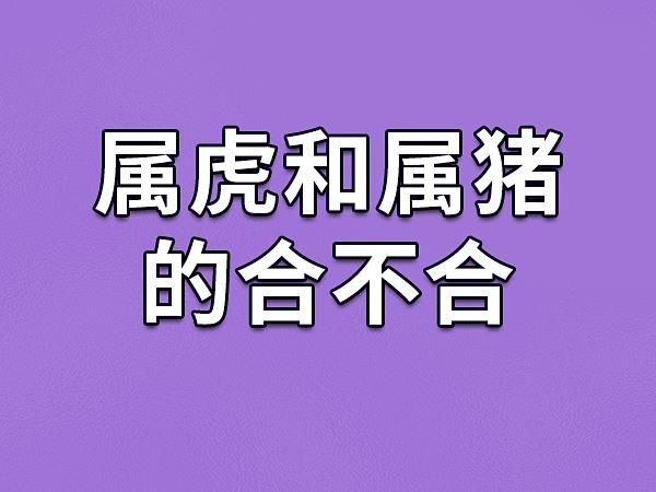 属相猪和哪个生肖不合（属猪和什么属相不合？避开这三对！）