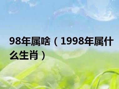 98年的生肖属相(98年的生肖属相是什么)