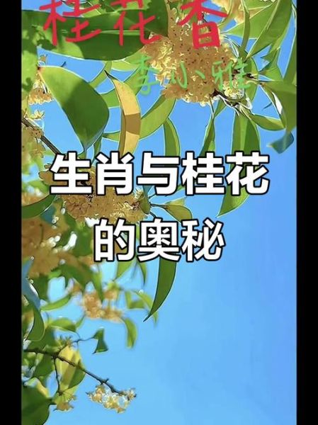 桂花属相是什么生肖（桂花代表什么生肖？新站详解）