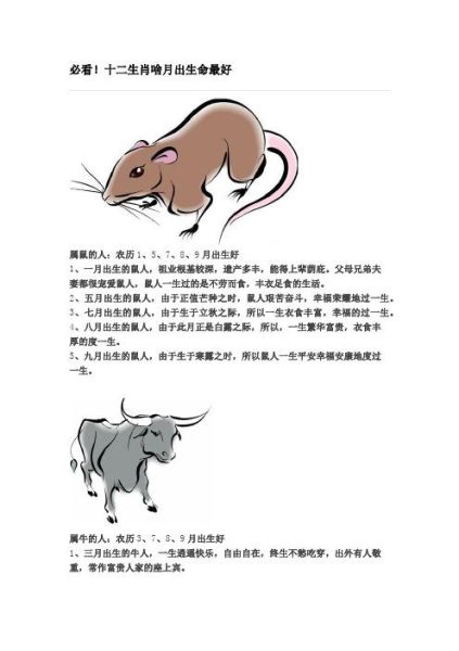 生肖鼠的人是什么属相（生肖鼠的属相是什么生肖）