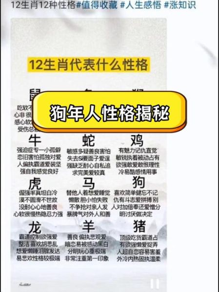 生肖属相血型性格（属狗B型血性格解析）