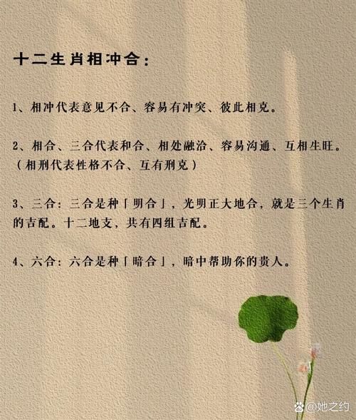 木牛流马正确生肖属相（木牛流马正确生肖属相是什么）
