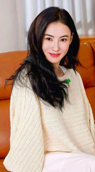 张柏芝生肖属相是啥子（张柏芝属什么生肖？小白必看🚀）