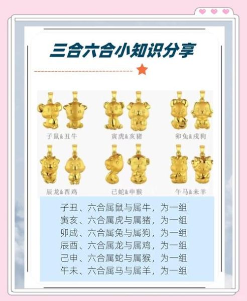 十二生肖合属相表（十二生肖三合六合表速查指南）