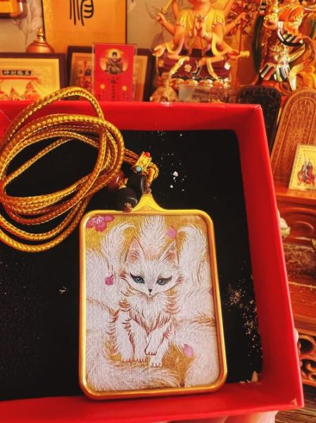 生肖属相木牌（生肖属相木牌挂在门口好吗）