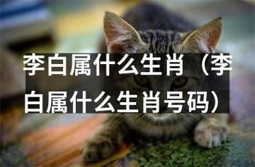 李白生肖属相（李白生肖属相是什么？）