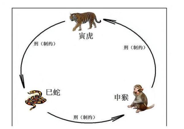 属相老虎和猴子生肖（属虎和属猴配不配？合婚指数大揭秘）