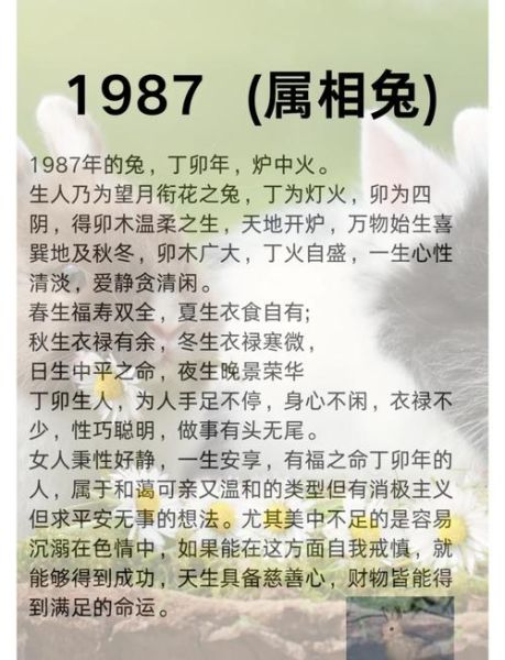 兔子生肖属相（兔子生肖属相性格和命运详解）