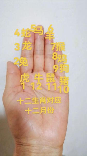 手算生肖属相（手算生肖属相最简单的口诀）