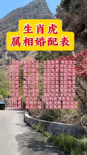 虎夫妻生肖是什么属相（虎夫妻生肖最忌和哪个属相配对）