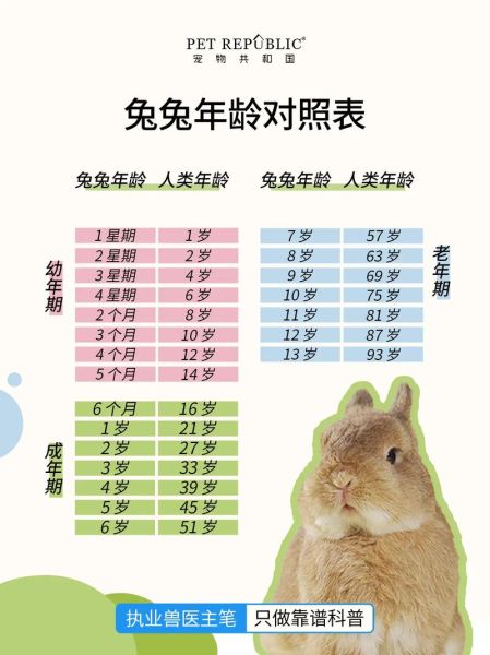 东北生肖属相（东北十二生肖排序口诀🐰）