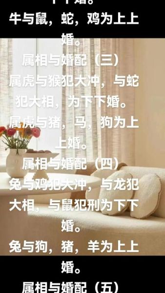 生肖马生属相鼠（生肖马鼠相害是什么意思）