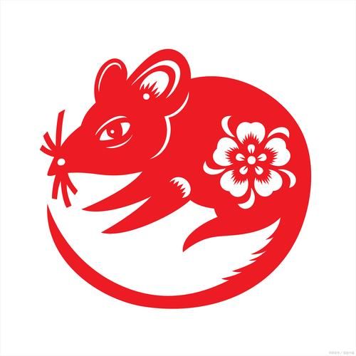 生肖属相长相图片(老鼠属相长相真人图片大全)