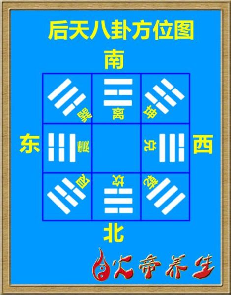 离卦详解生肖属相（离卦对应生肖属马吗？新手看懂卦象✨）