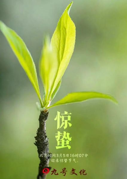 惊蛰属相是什么生肖（惊蛰属相是什么生肖？新手一看就会！）