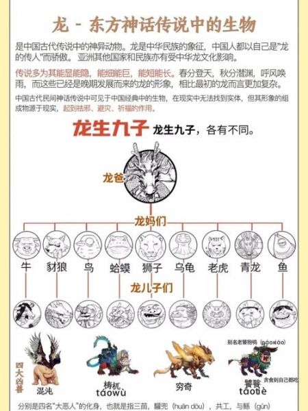 生肖龙属相的资料（生肖龙属相的资料速查指南）