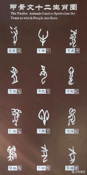 十二生肖属相汉字进化（十二生肖属相汉字演变史）