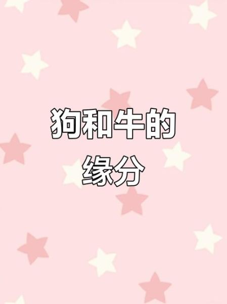 生肖牛和生肖狗属相合吗（生肖牛和狗属相合不合）