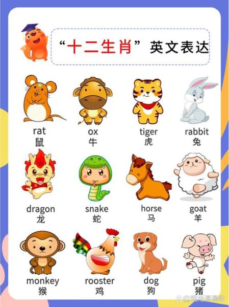 生肖属相英语表达