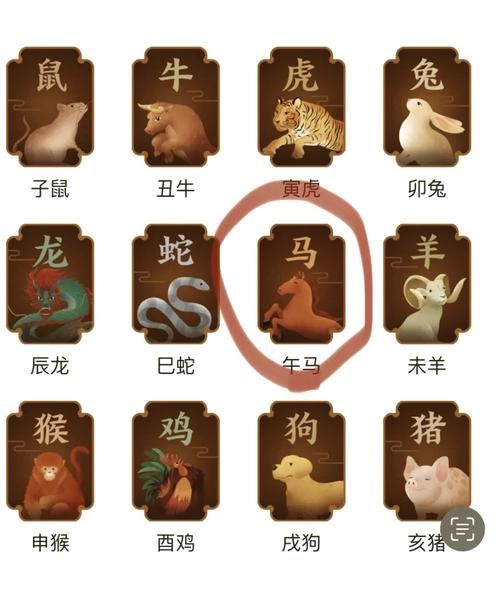 马龙生肖属什么属相（马龙生肖属什么属相？）
