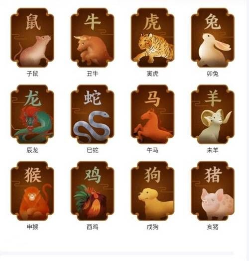 生肖怎么精确更换的属相（生肖什么时候更换最准确）